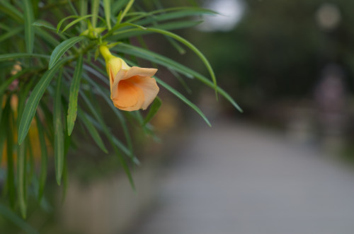 黄山网站建设不可忽略的细节