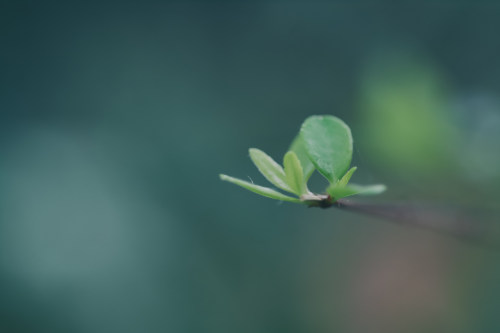 通化网站设计主色调的选择